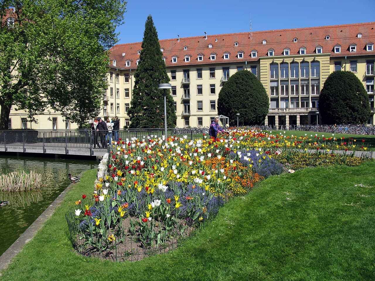 Park des Universitätsklinikums Freiburg mit Blick auf die Chirurgische Klinik